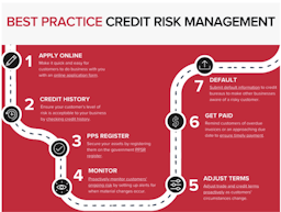 Expert: What’s an ideal credit risk management process?